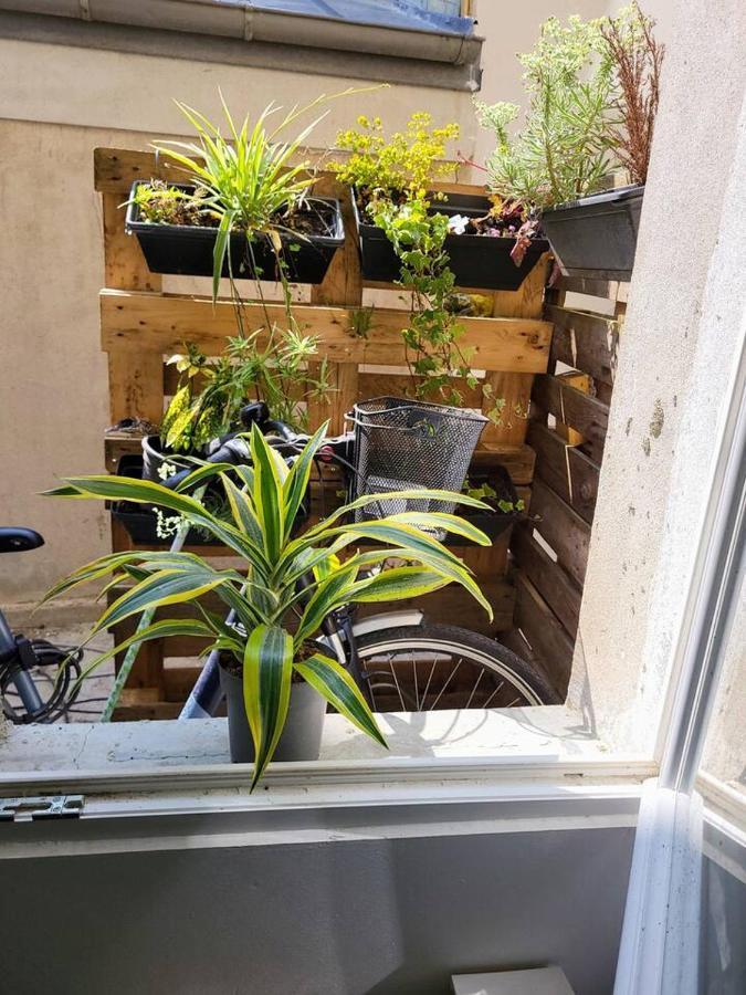Cosy Appartement Hyper Centre-Ville 坎佩尔 外观 照片